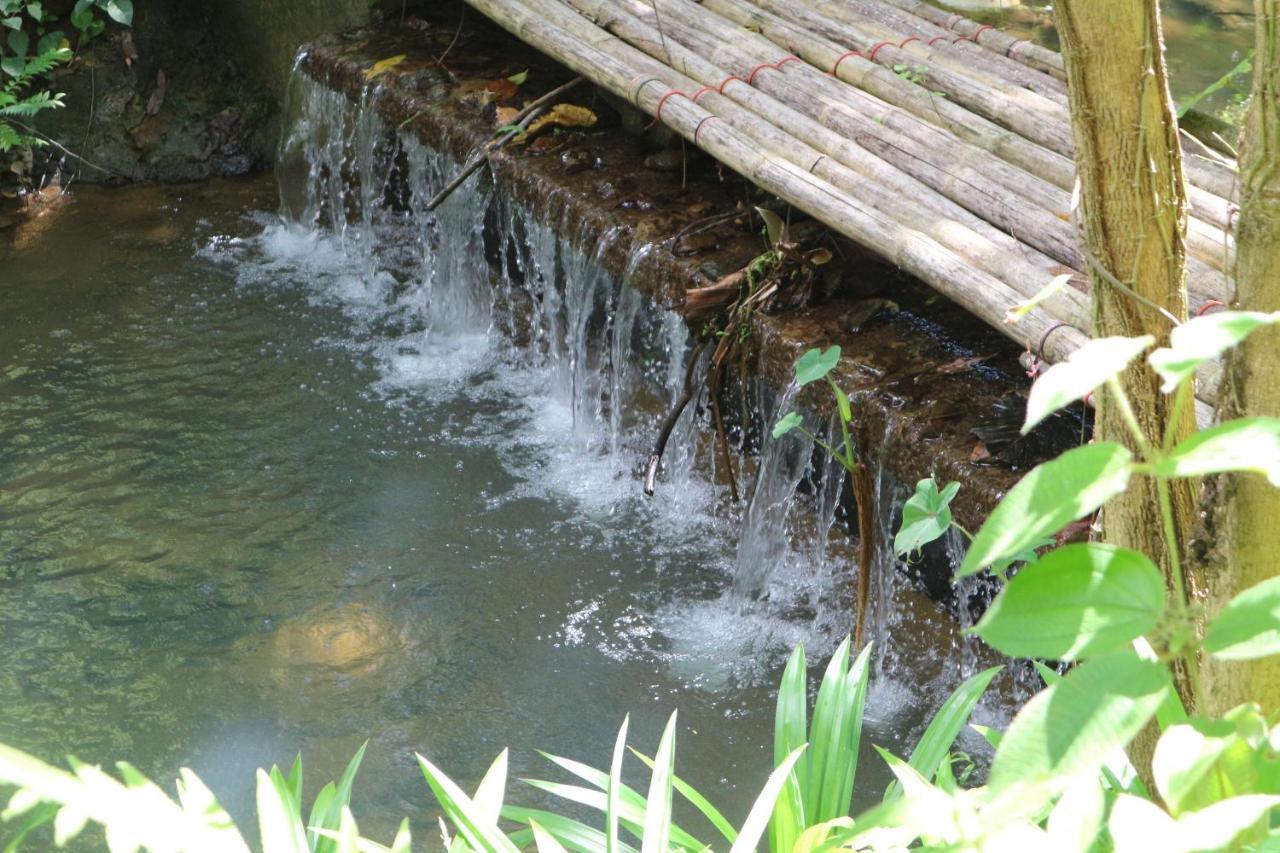 Baan Rai Me Rak Organic Farmstay Pa Khlok Экстерьер фото